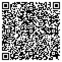 QR code with Y M C A contacts