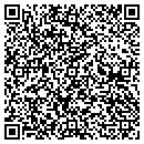 QR code with Big Cat Construction contacts