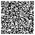 QR code with Pines contacts