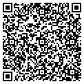 QR code with Willows contacts
