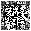 QR code with Buckle contacts