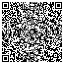QR code with Professional Audio contacts