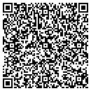 QR code with Cygnet Design contacts