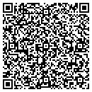 QR code with Cystal Clean Service contacts