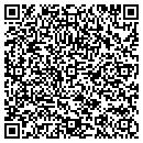 QR code with Pyatt's Used Cars contacts