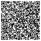 QR code with Blue Nile Technology Inc contacts