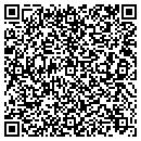 QR code with Premier Communication contacts