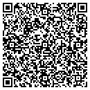 QR code with Punch Software LLC contacts