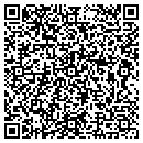 QR code with Cedar Valley Liners contacts