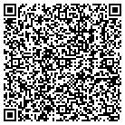QR code with Pumping Unit Parts Inc contacts