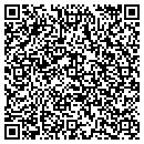 QR code with Protocol Inc contacts