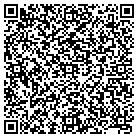 QR code with Blimpie Subs & Salads contacts