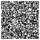 QR code with Cyberview Systems contacts