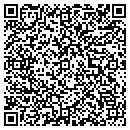 QR code with Pryor Pattern contacts
