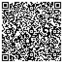 QR code with Ptm Document Systems contacts