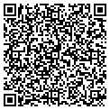 QR code with Divoet contacts