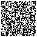 QR code with Cows contacts