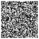QR code with Cyclops Systems LLC contacts