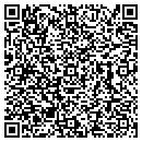 QR code with Project Safe contacts
