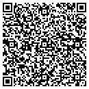 QR code with Pruitt Painting Inc contacts