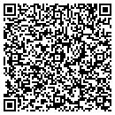 QR code with Profit Solutions Inc contacts
