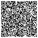 QR code with Christmas Lights Inc contacts