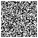 QR code with Blue Fountain contacts
