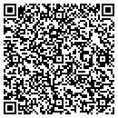 QR code with Chapman's Auto Sales contacts