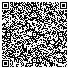QR code with Public Issue Advisers Inc contacts