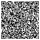 QR code with Public Storage contacts