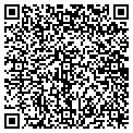 QR code with Shell contacts