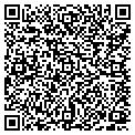 QR code with Willows contacts