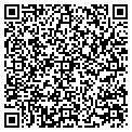 QR code with AMF contacts