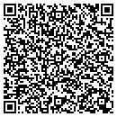 QR code with Chesnut & Chesnut contacts