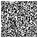 QR code with Project Safe contacts