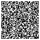 QR code with Precision Motors contacts
