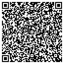 QR code with Public Storage contacts