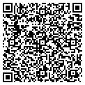 QR code with P Phan contacts