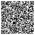 QR code with Amsoil contacts