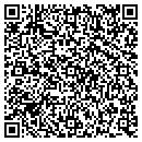 QR code with Public Storage contacts