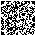 QR code with Shell contacts