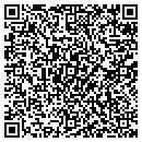 QR code with Cybernetics Corp Int contacts