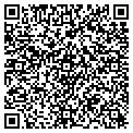 QR code with Curves contacts