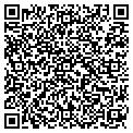 QR code with D-Cell contacts