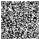 QR code with Christian L Johnson contacts
