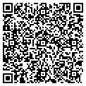 QR code with T M Co contacts