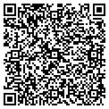 QR code with Pico contacts