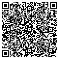 QR code with Amvets contacts