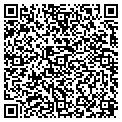 QR code with Adorn contacts