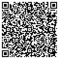 QR code with Y M C A contacts